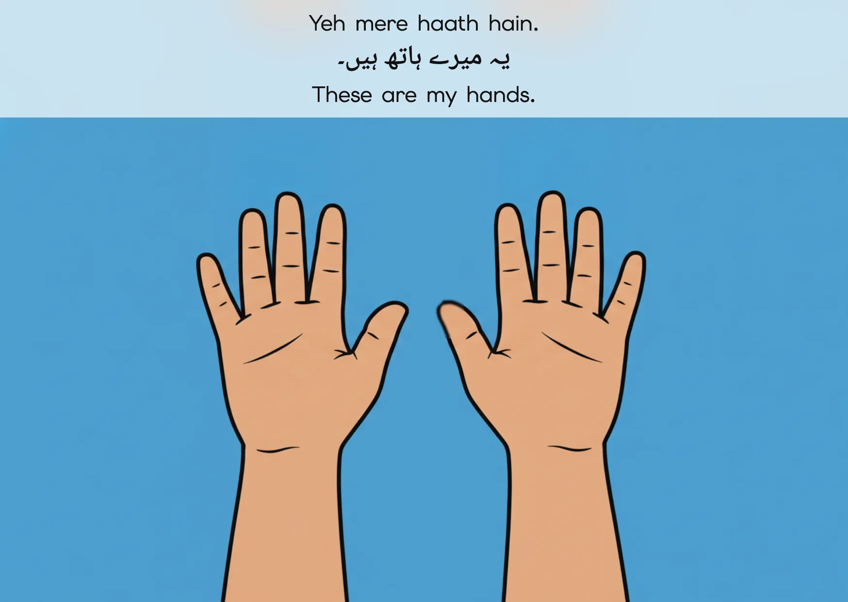 Flashcard: These are my hands. (یہ میرے ہاتھ ہیں۔)
