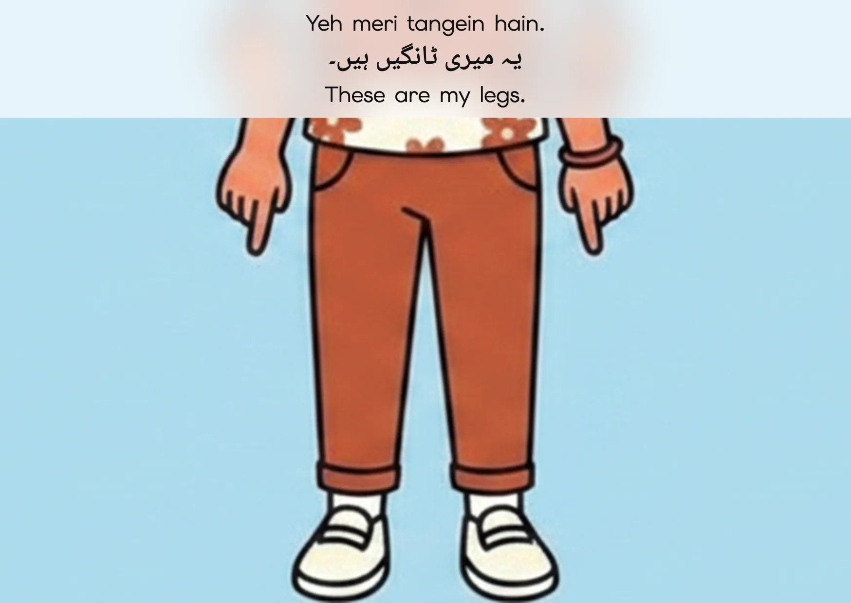 Flashcard: These are my legs. (یہ میری ٹانگیں ہیں۔)