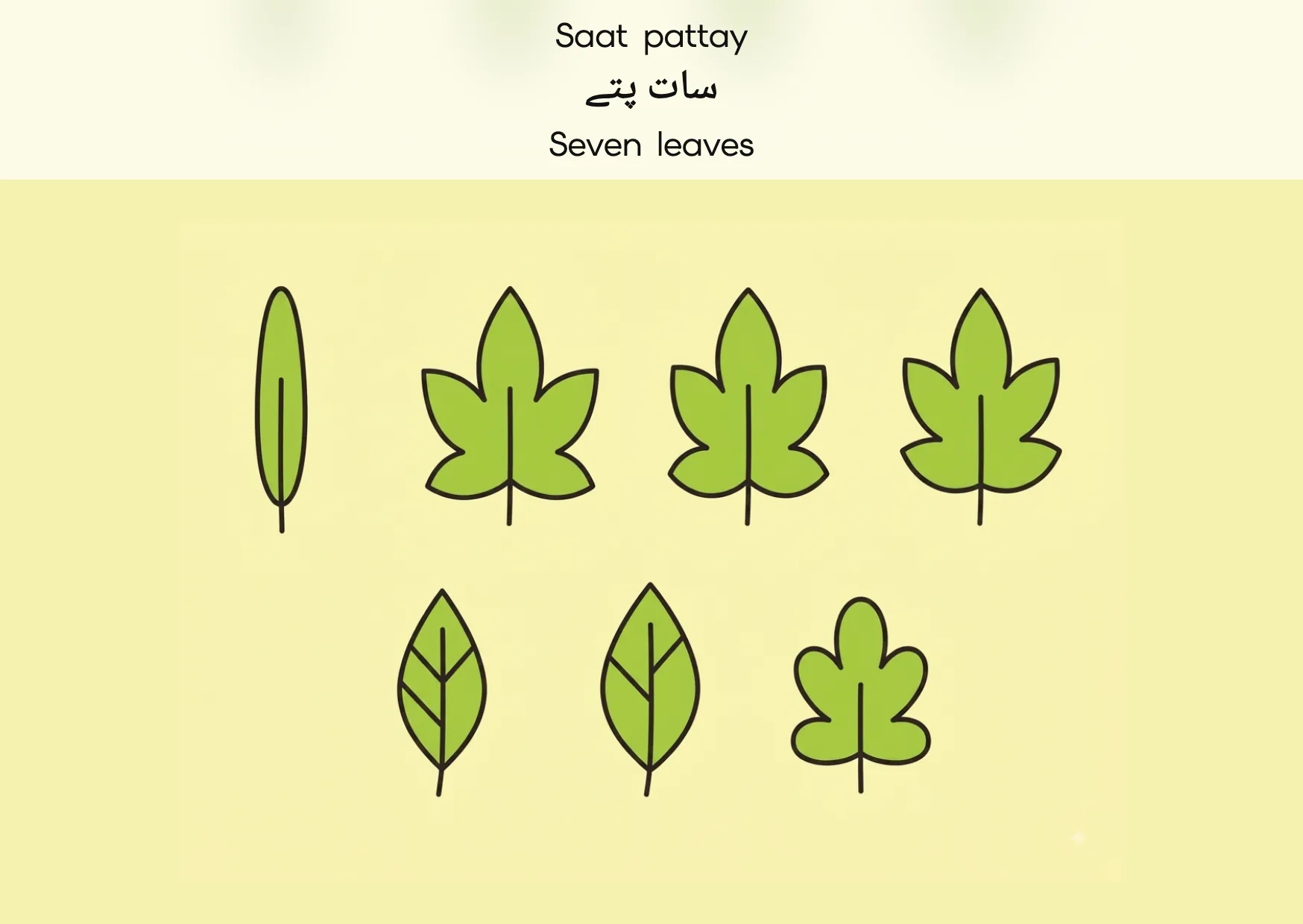 Flashcard: Seven leaves (سات پتے)