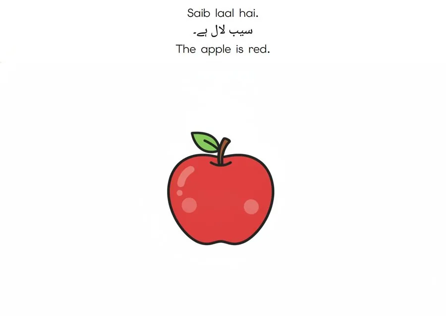 Flashcard: The apple is red. (سیب لال ہے۔)