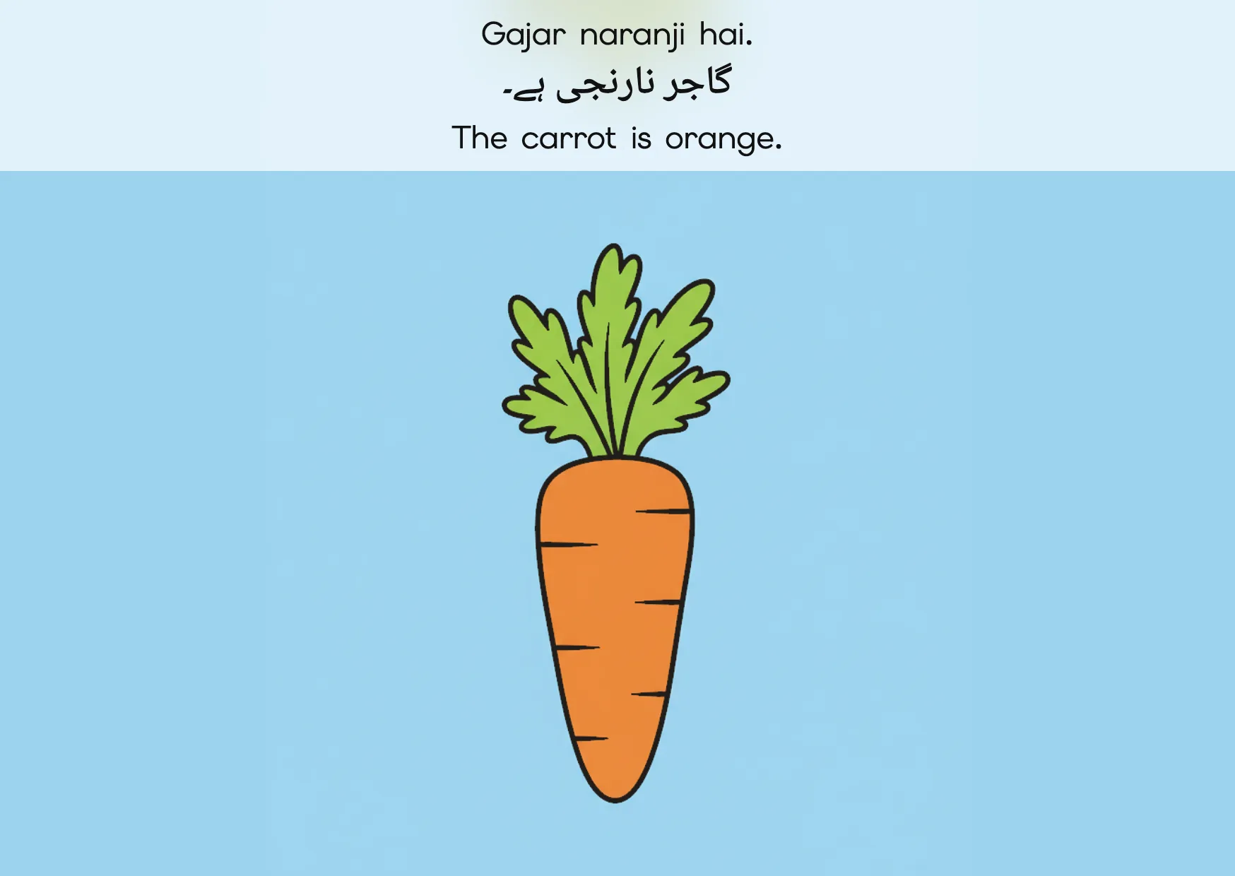 Flashcard: The carrot is orange. (گاجر نارنجی ہے۔)
