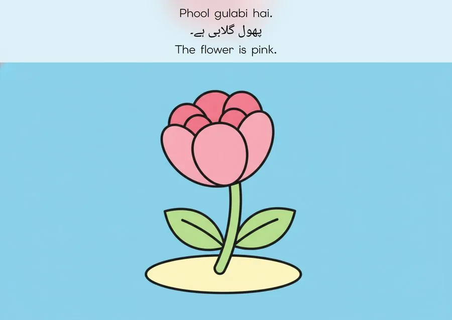 Flashcard: The flower is pink. (پھول گلابی ہے۔)