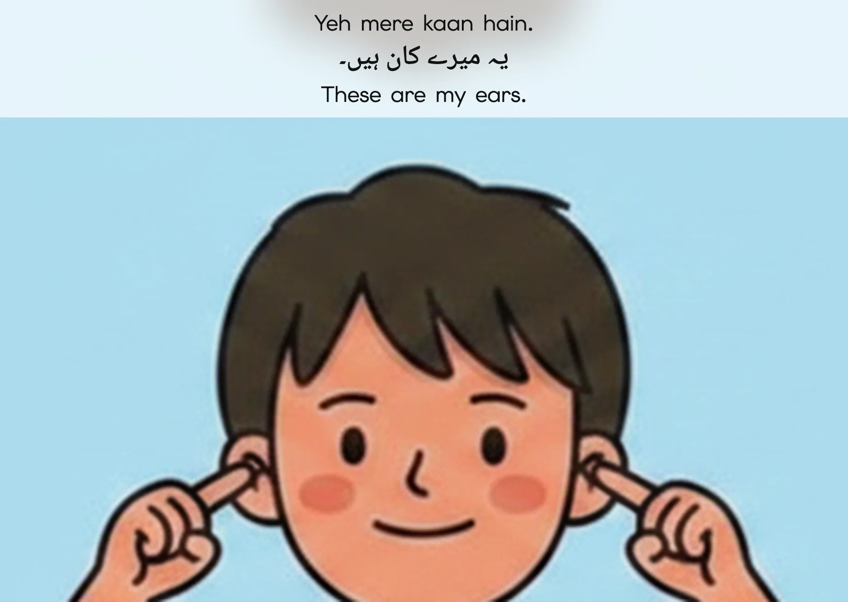 Flashcard: These are my ears. (یہ میرے کان ہیں۔)