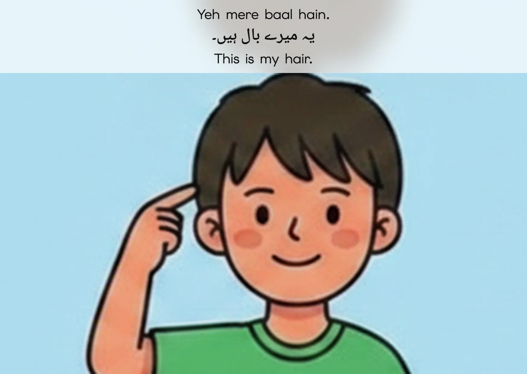 Flashcard: This is my hair. (یہ میرے بال ہیں۔)