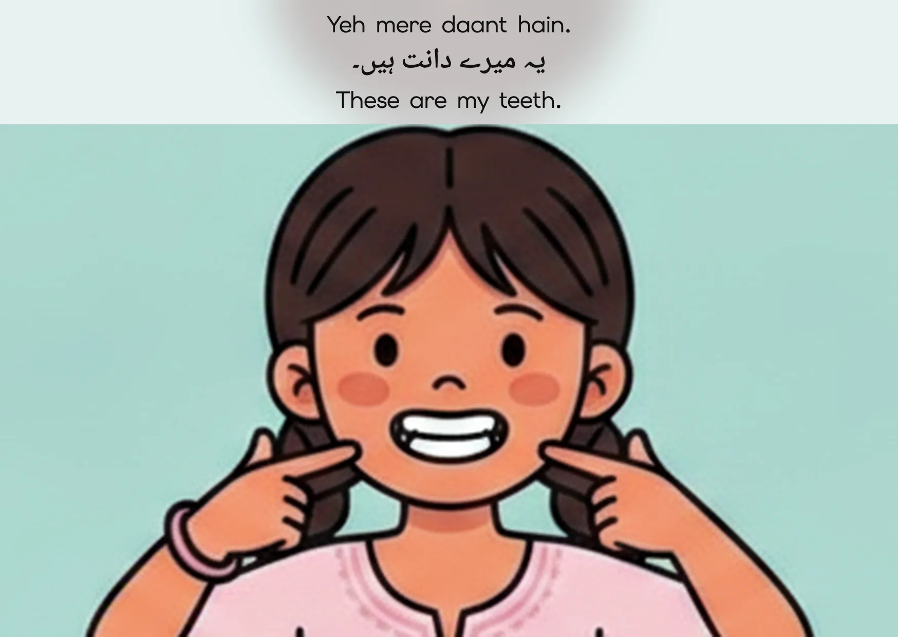 Flashcard: These are my teeth. (یہ میرے دانت ہیں۔)