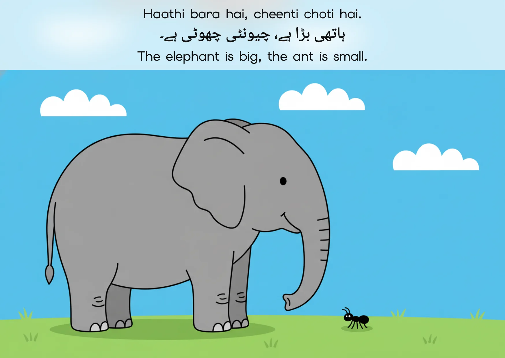 Flashcard: The elephant is big, the ant is small. (ہاتھی بڑا ہے، چیونٹی چھوٹی ہے۔)