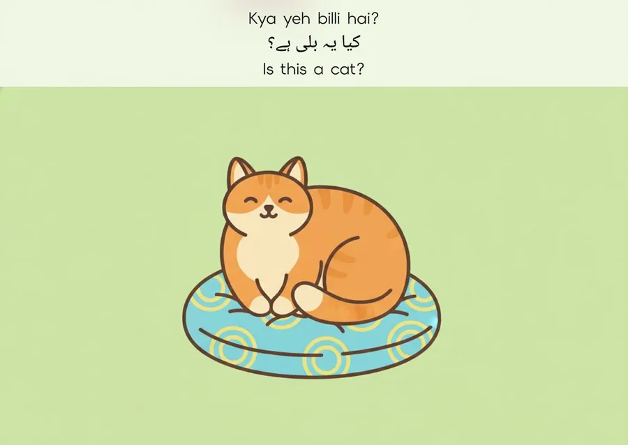 Flashcard: Is this a cat? (کیا یہ بلی ہے؟)