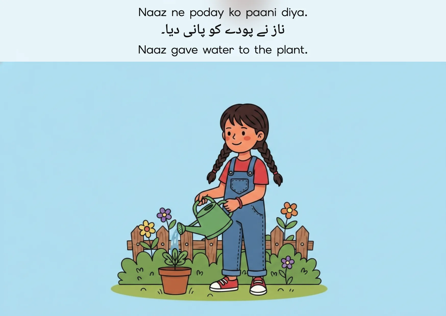 Flashcard: Naaz gave water to the plant. (ناز نے پودے کو پانی دیا۔)