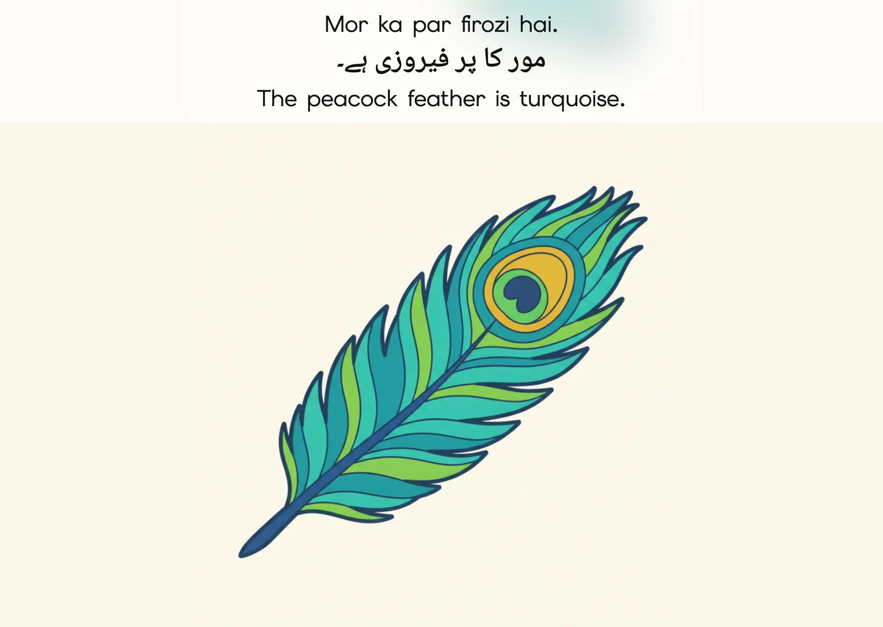 Flashcard: The peacock feather is turquoise. (مور کا پر فیروزی ہے۔)