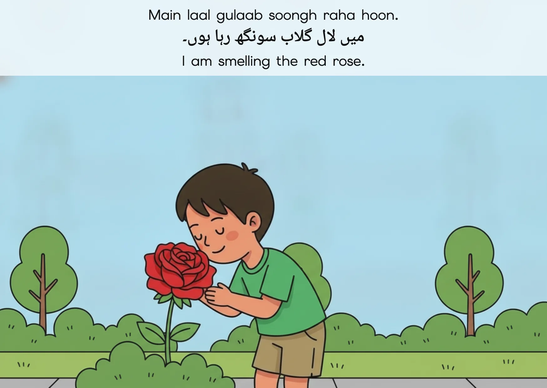 Flashcard: I am smelling the red rose. (میں لال گلاب سونگھ رہا ہوں۔)