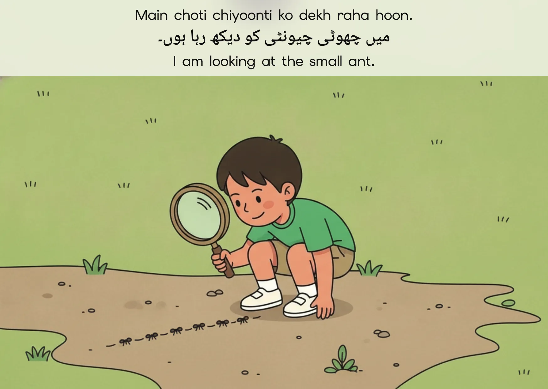 Flashcard: I am looking at the small ant. (میں چھوٹی چیونٹی کو دیکھ رہا ہوں۔)