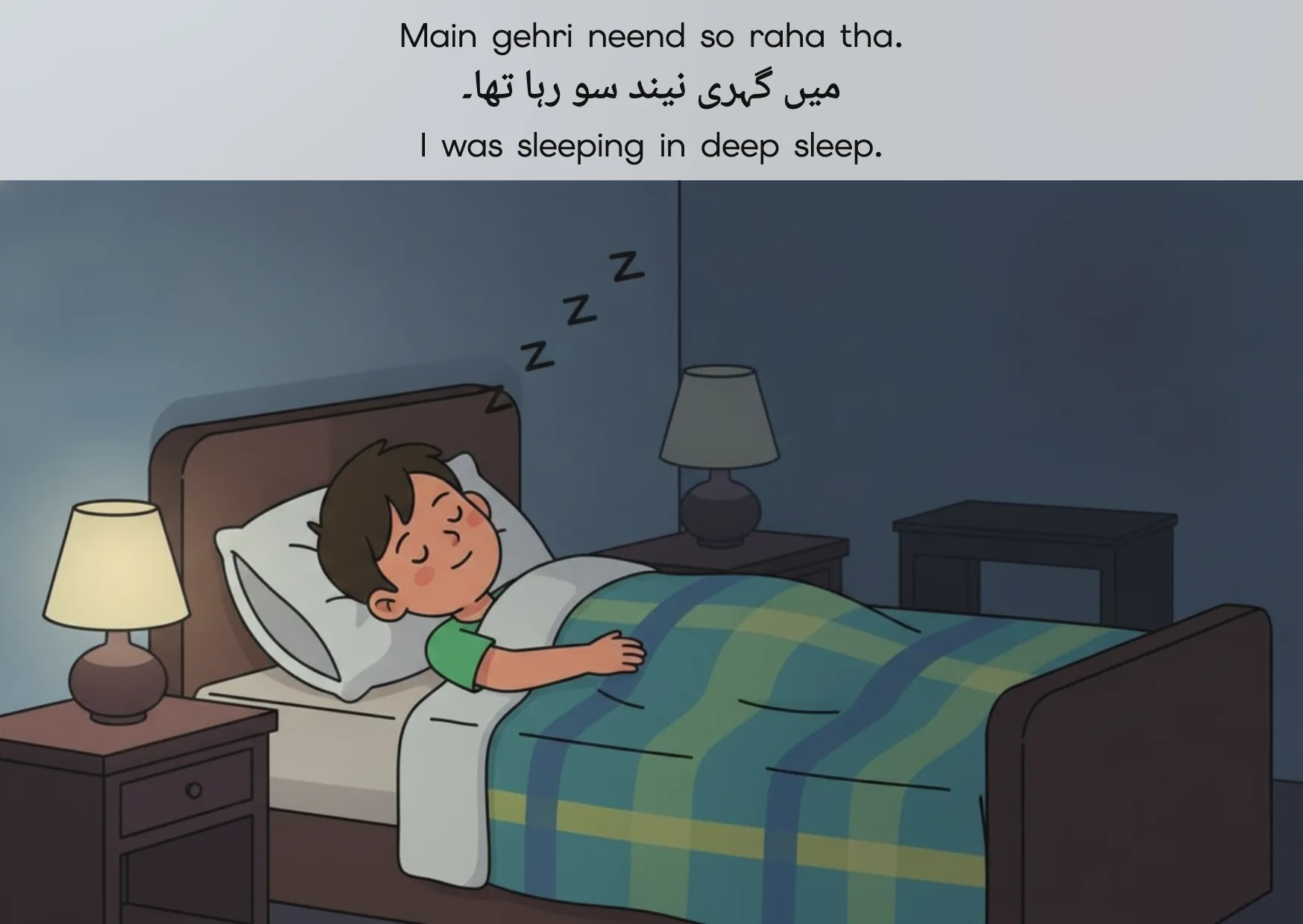 Flashcard: I was sleeping in deep sleep. (میں گہری نیند سو رہا تھا۔)