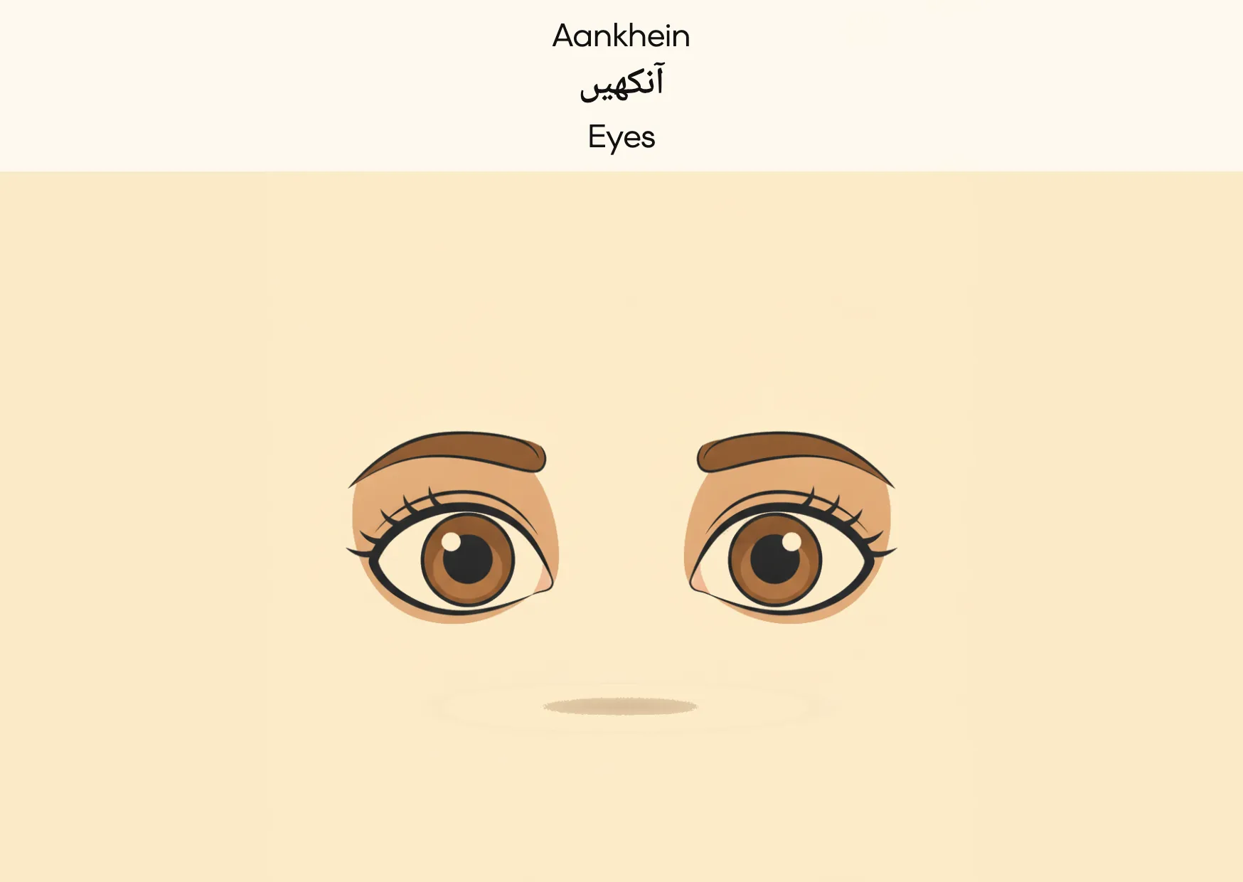 Flashcard: Eyes (آنکھیں)