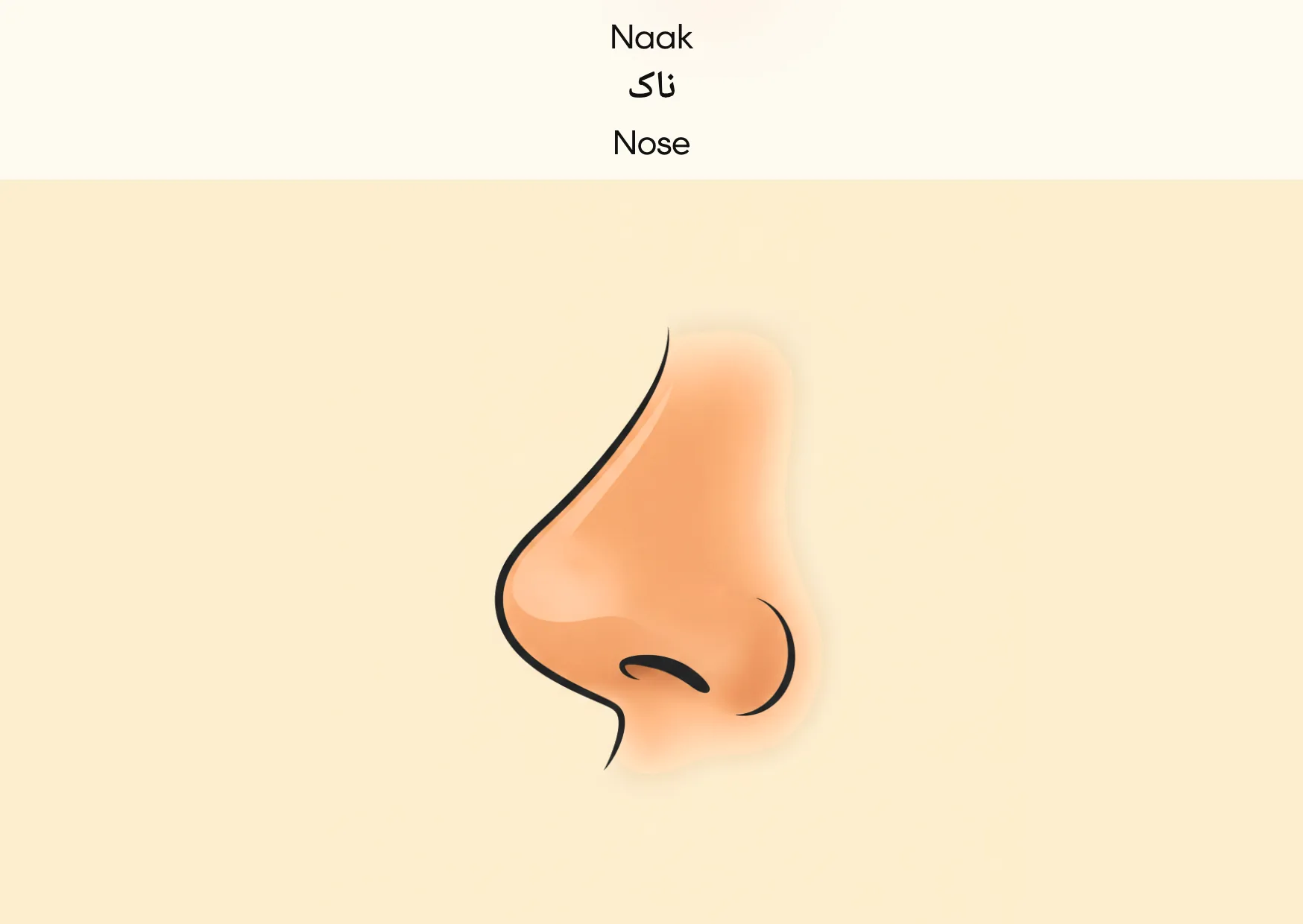 Flashcard: Nose (ناک)