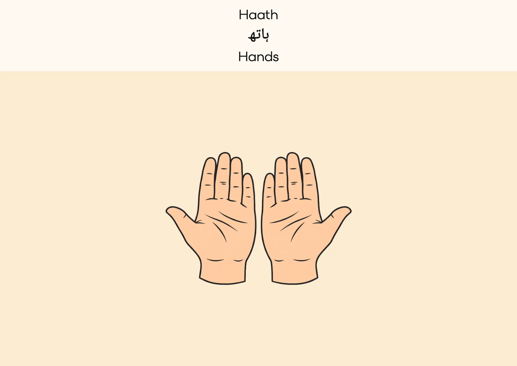 Flashcard: Hands (ہاتھ)