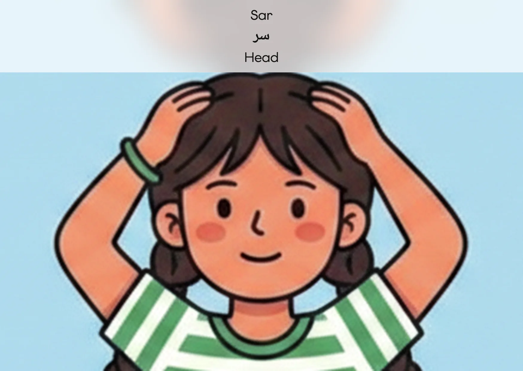 Flashcard: Head (سر)