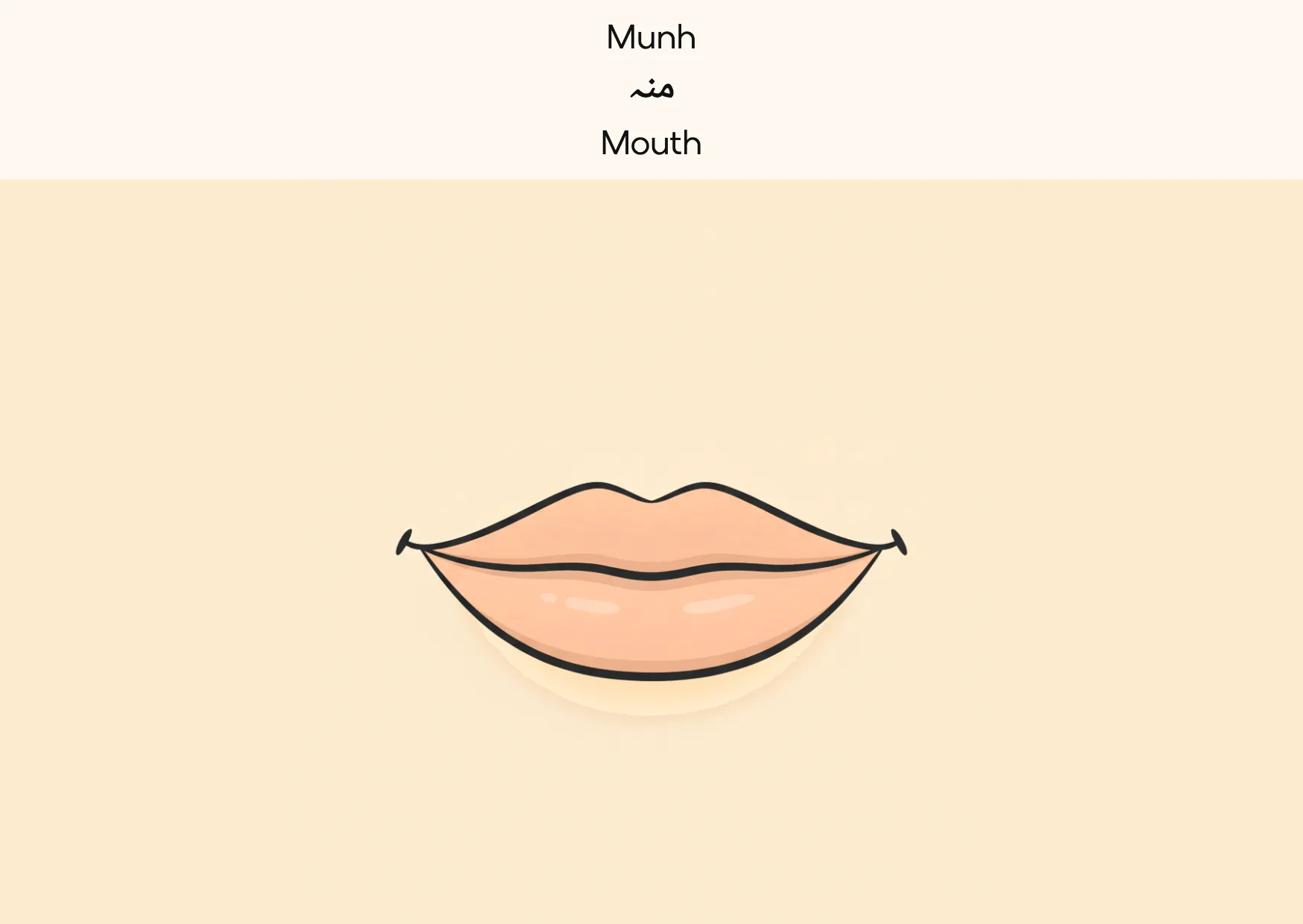 Flashcard: Mouth (منہ)