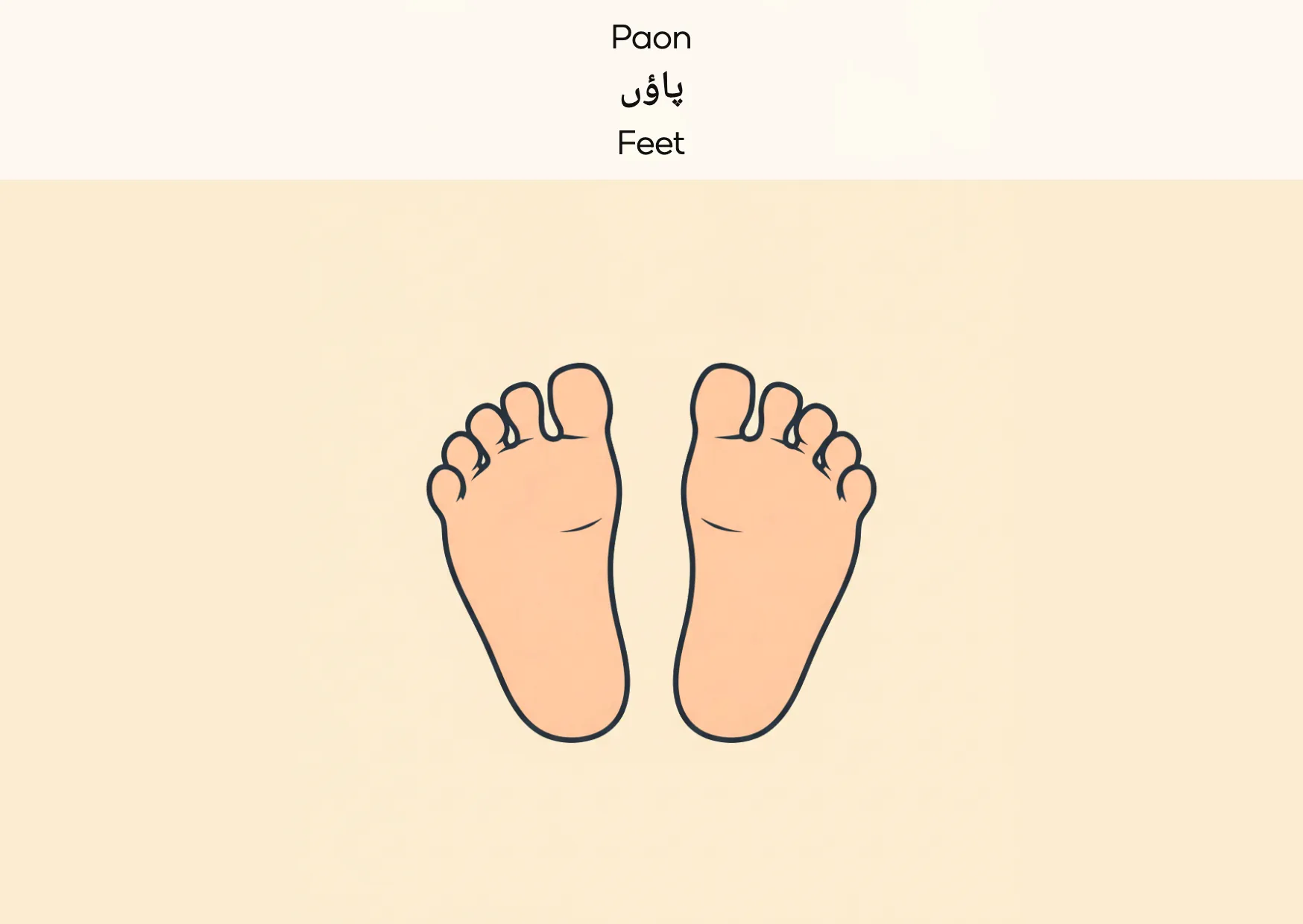 Flashcard: Feet (پاؤں)