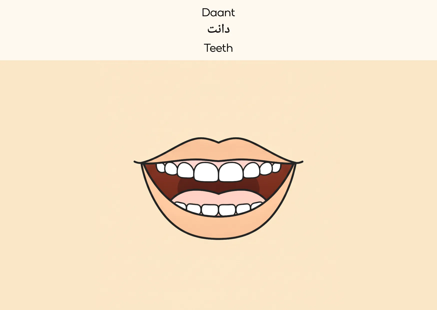Flashcard: Teeth (دانت)