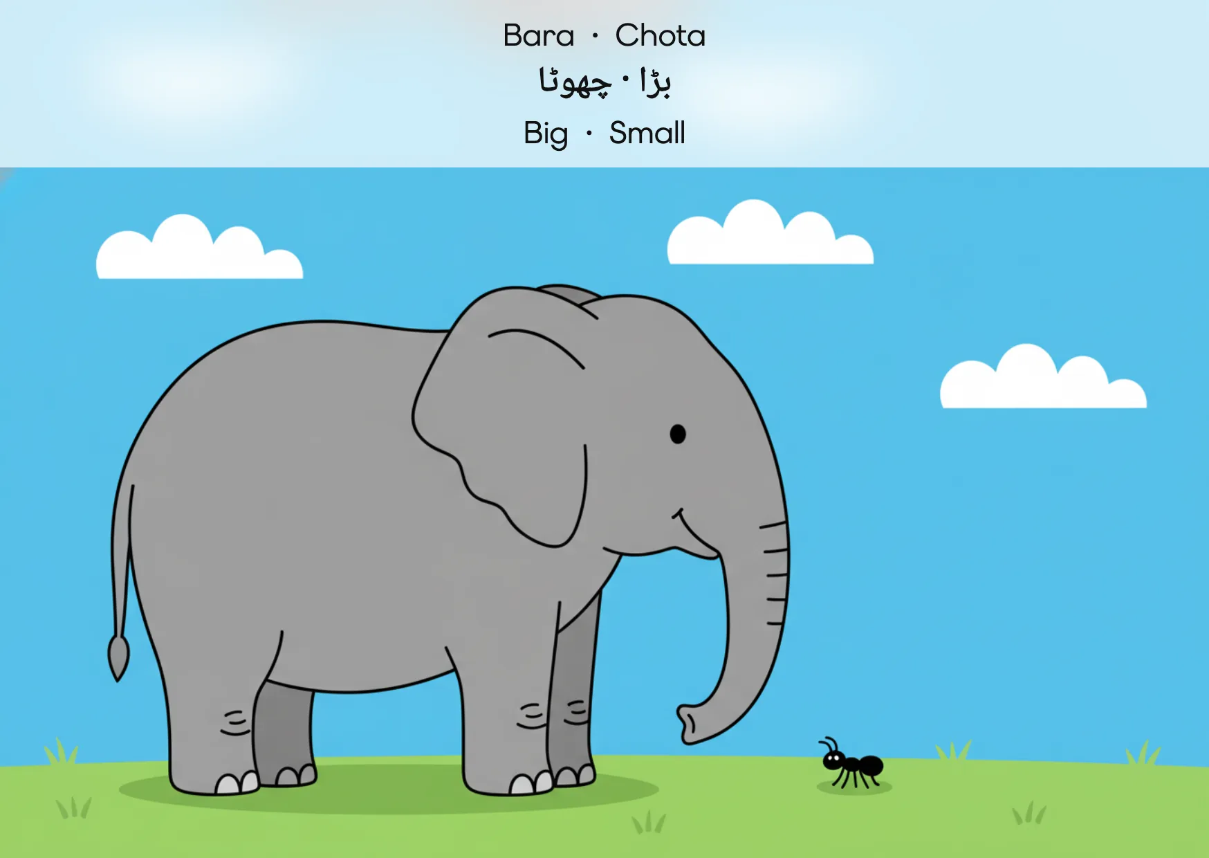 Flashcard: Big · Small (بڑا · چھوٹا)