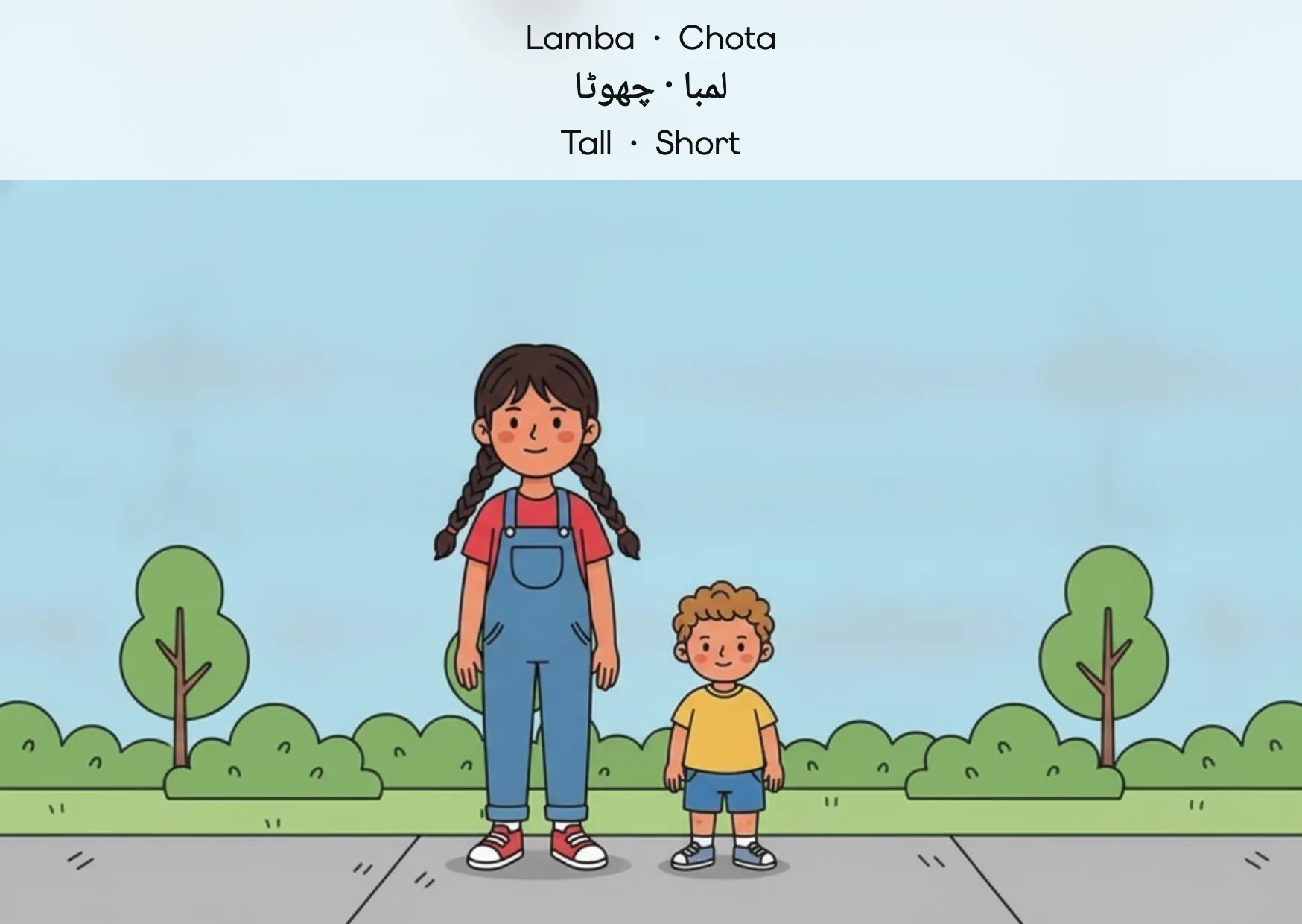 Flashcard: Tall · Short (لمبا · چھوٹا)