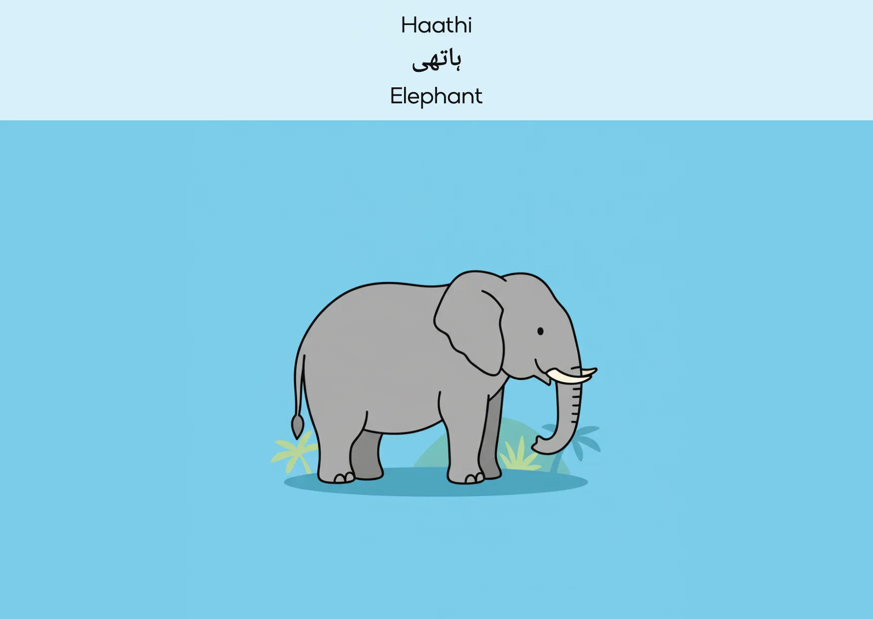 Flashcard: Elephant (ہاتھی)