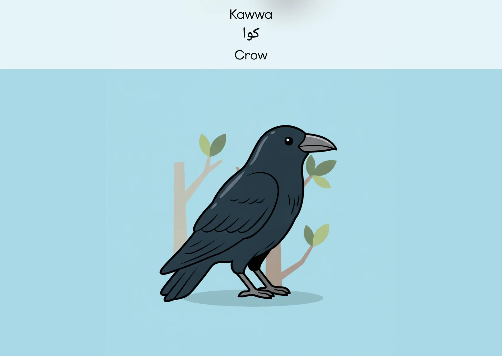 Flashcard: Crow (کوا)