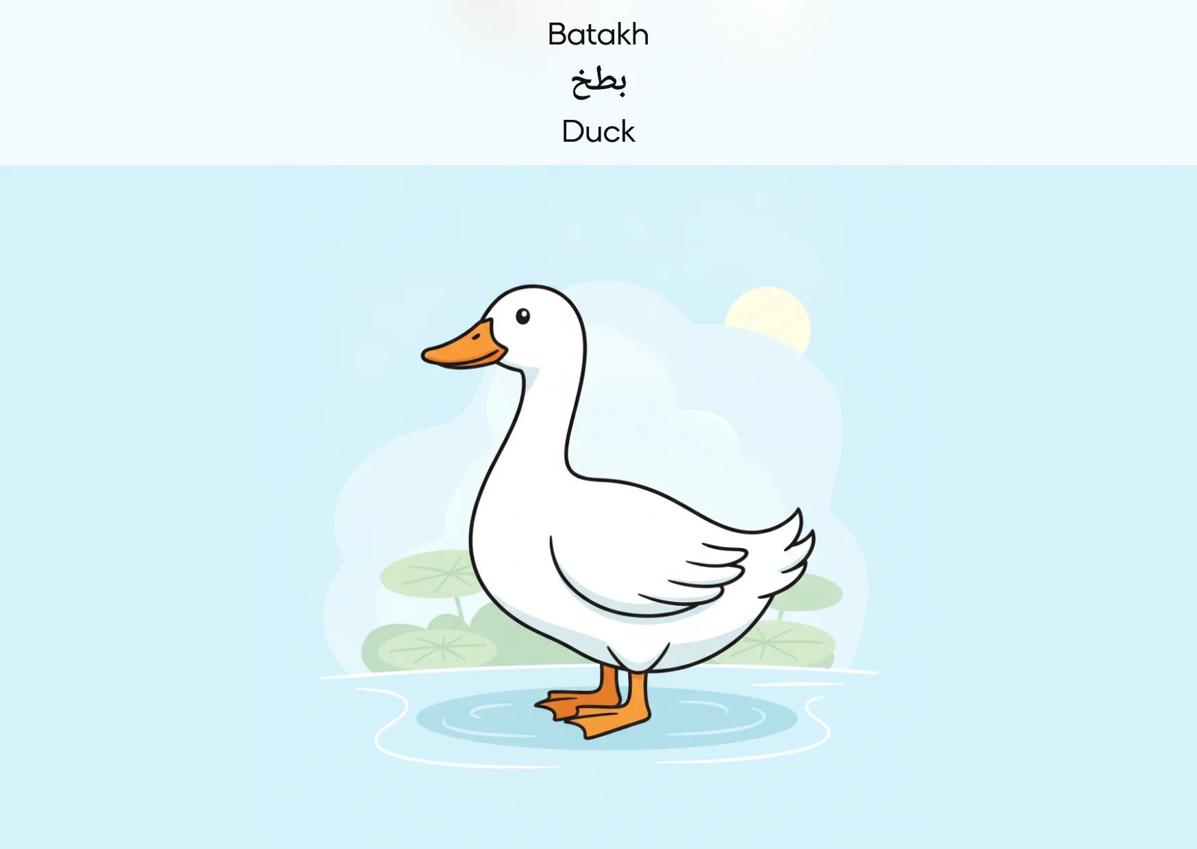 Flashcard: Duck (بطخ)