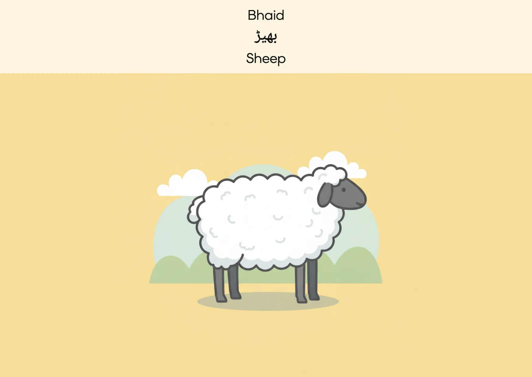 Flashcard: Sheep (بھیڑ)
