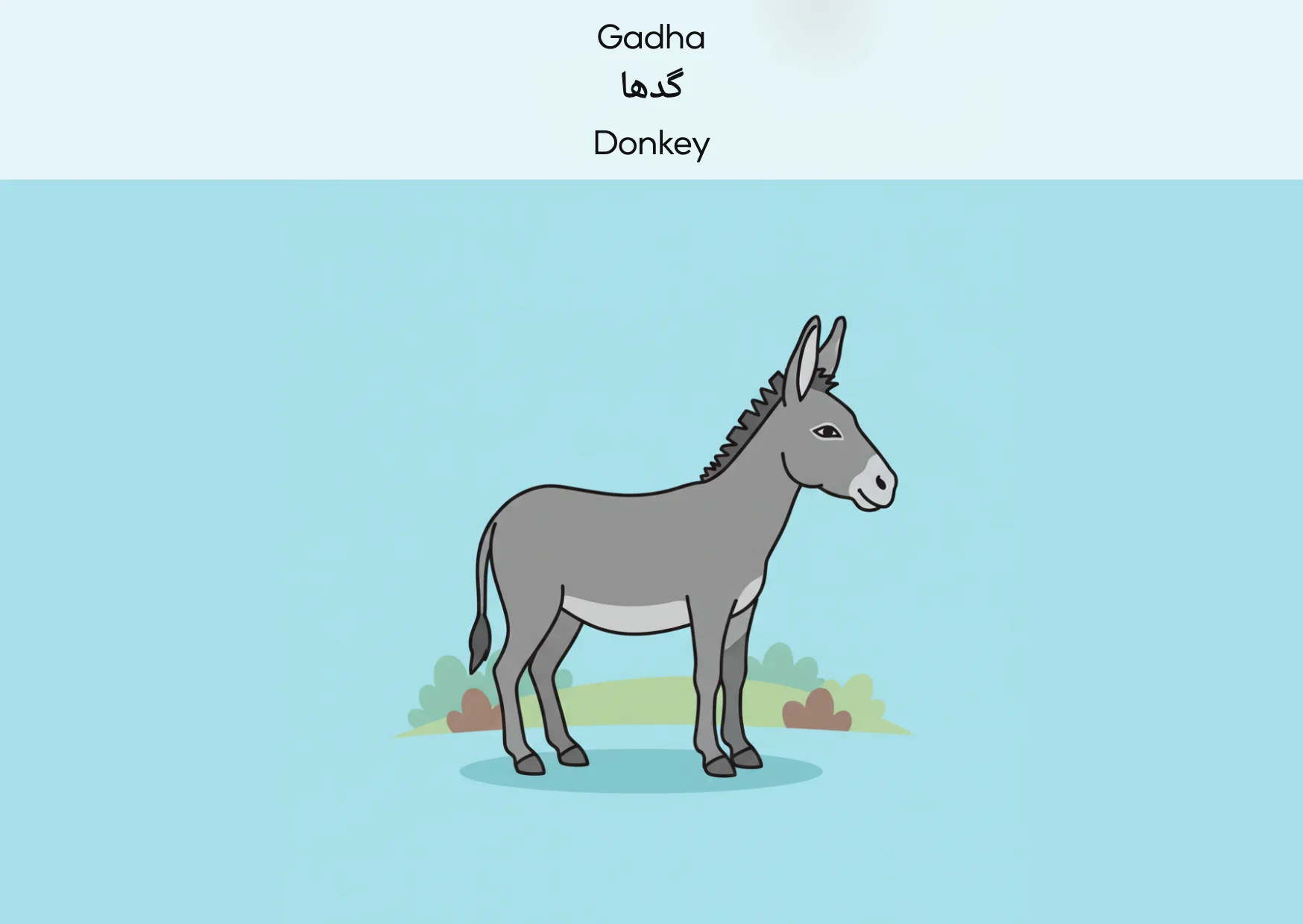 Flashcard: Donkey (گدھا)