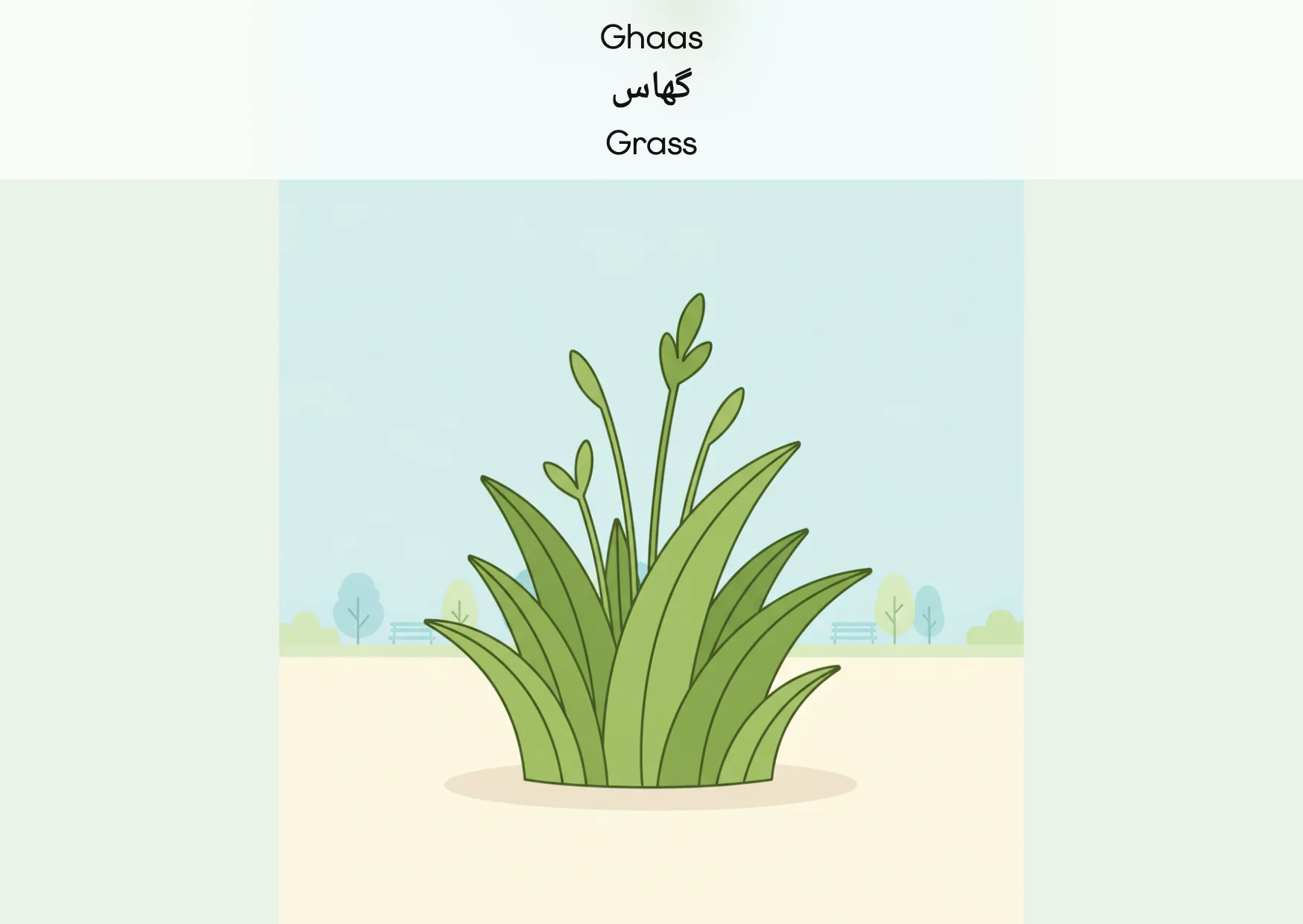 Flashcard: Grass (گھاس)