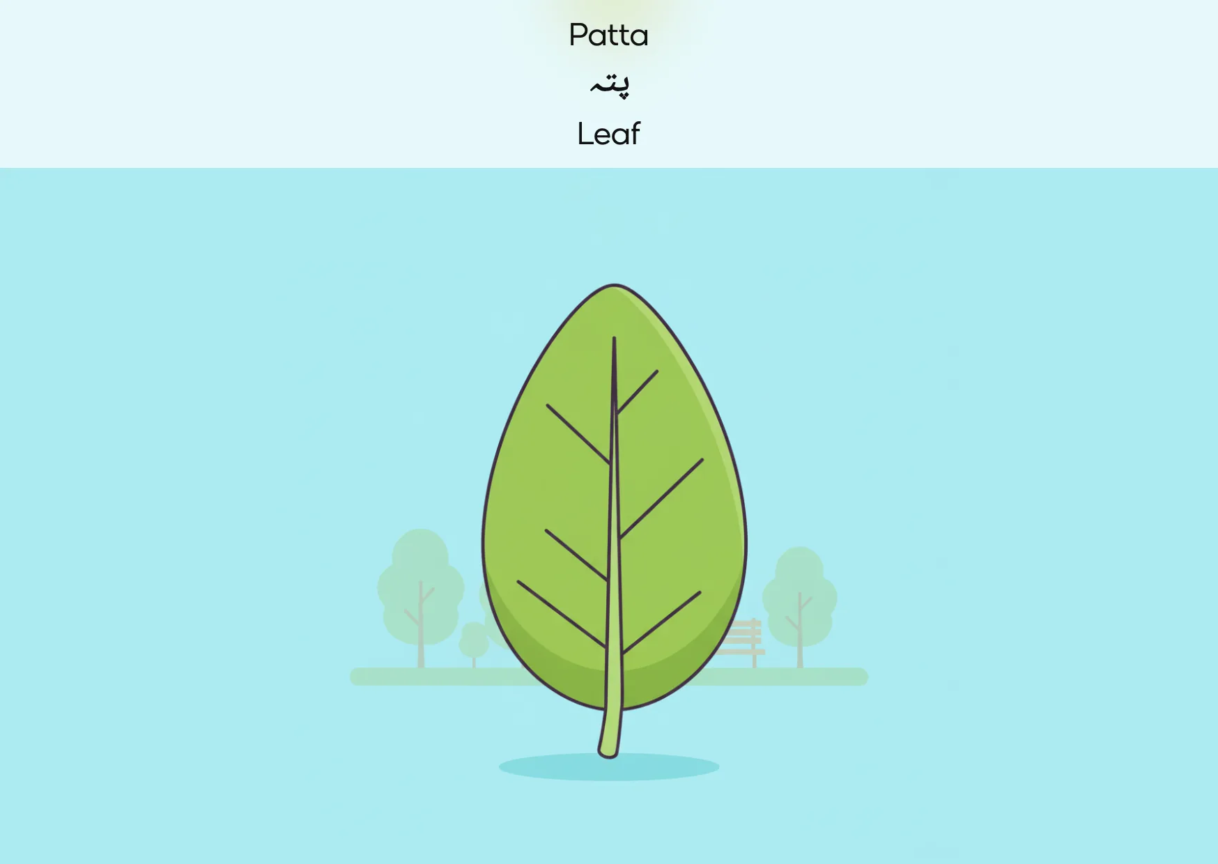 Flashcard: Leaf (پتہ)