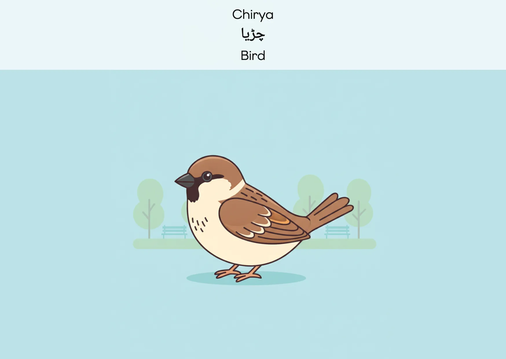 Flashcard: Bird (چڑیا)