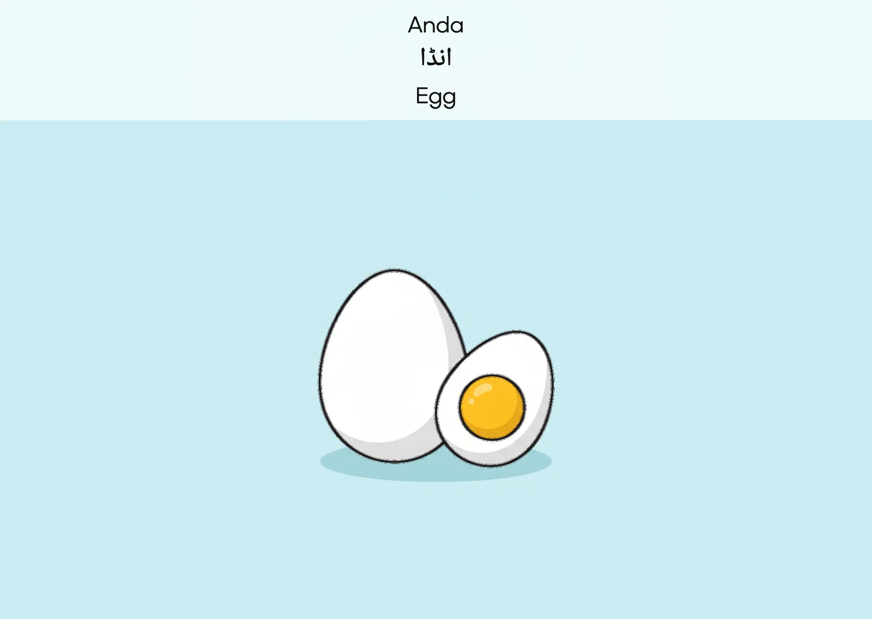 Flashcard: Egg (انڈا)