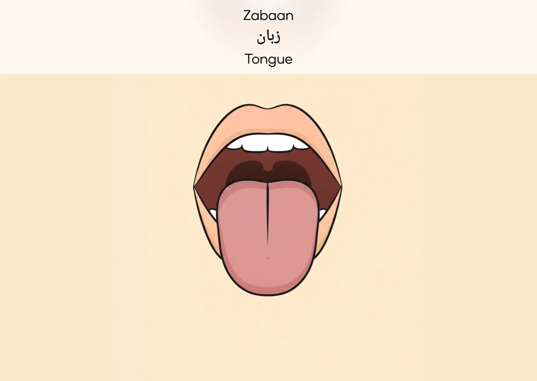 Flashcard: Tongue (زبان)