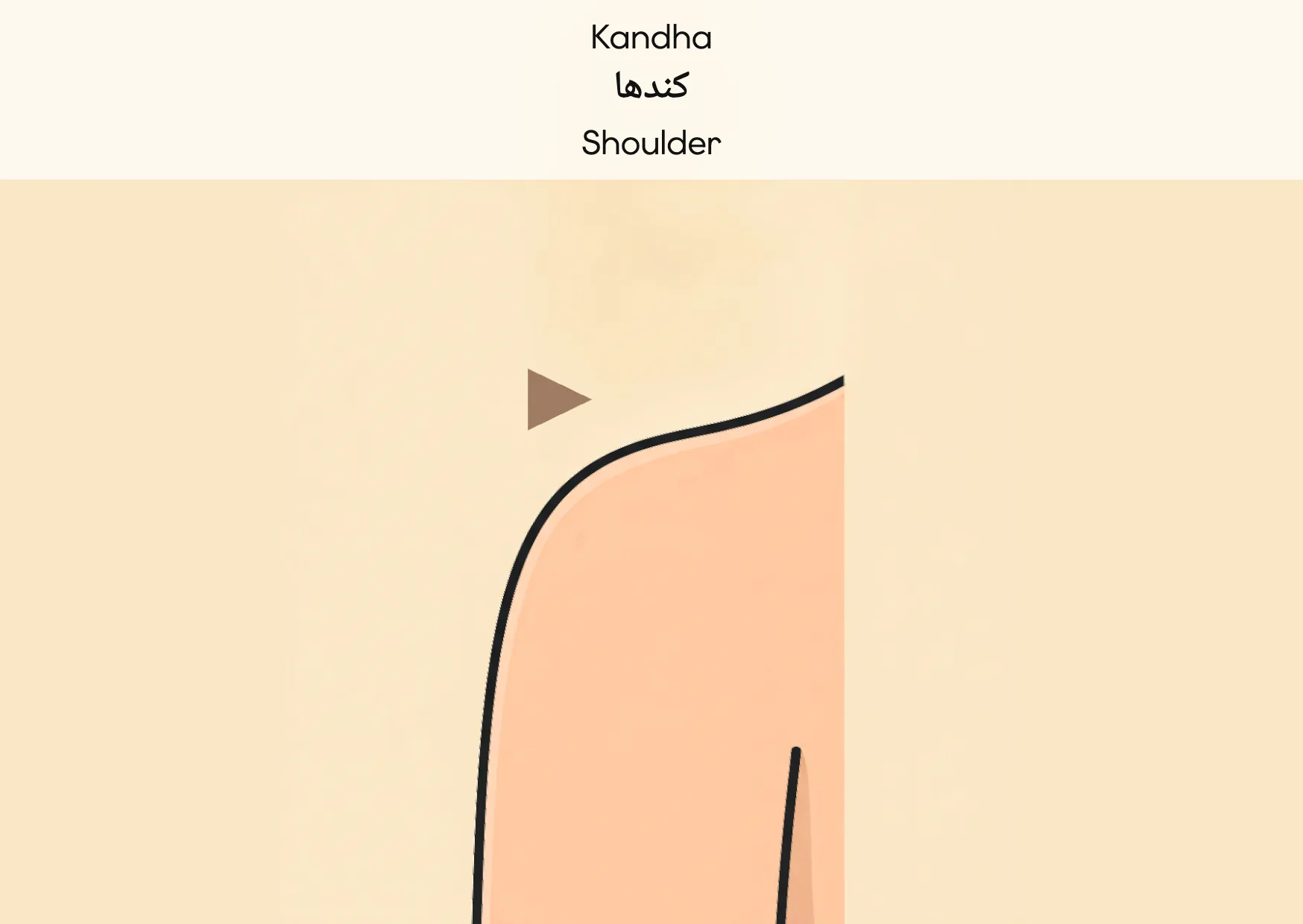 Flashcard: Shoulder (کندھا)