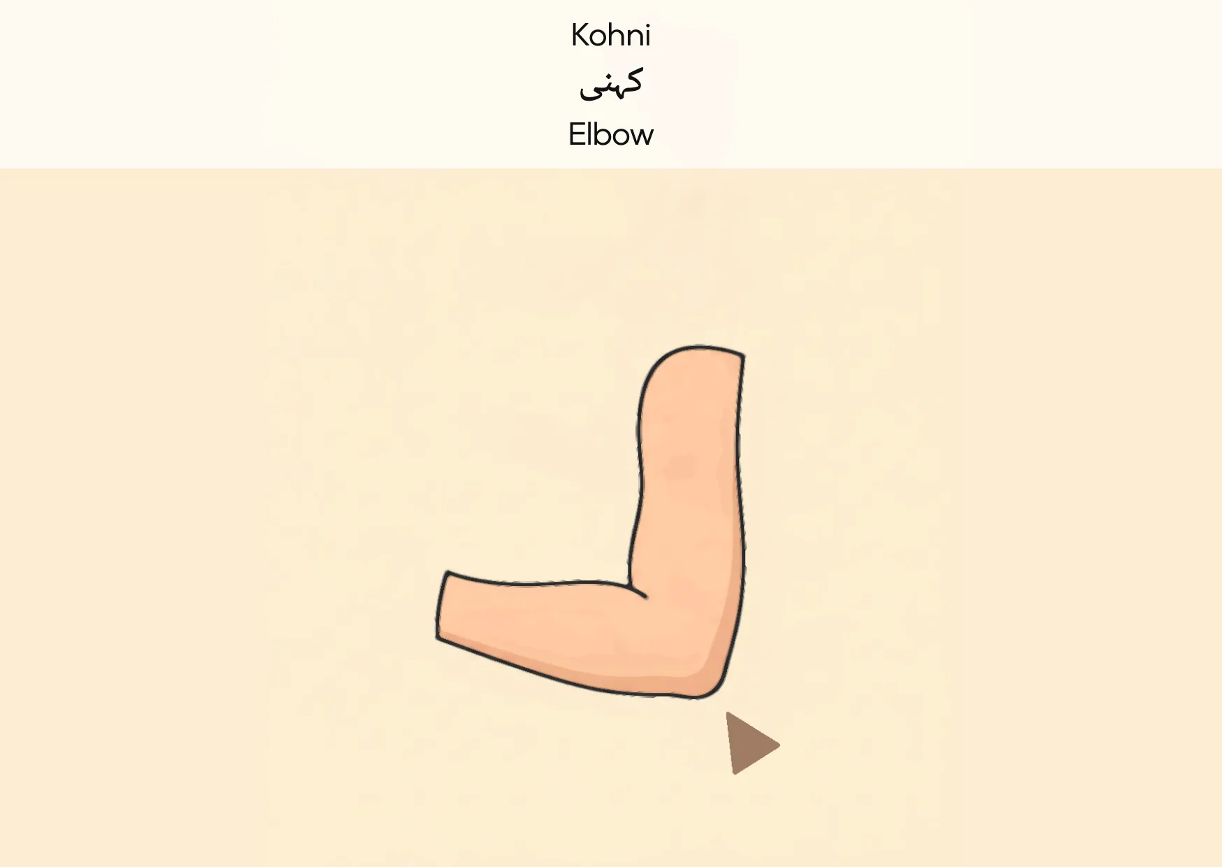 Flashcard: Elbow (کہنی)