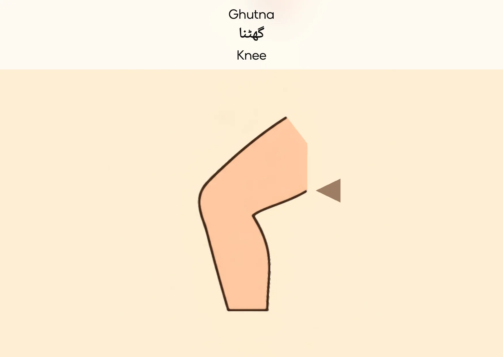 Flashcard: Knee (گھٹنا)