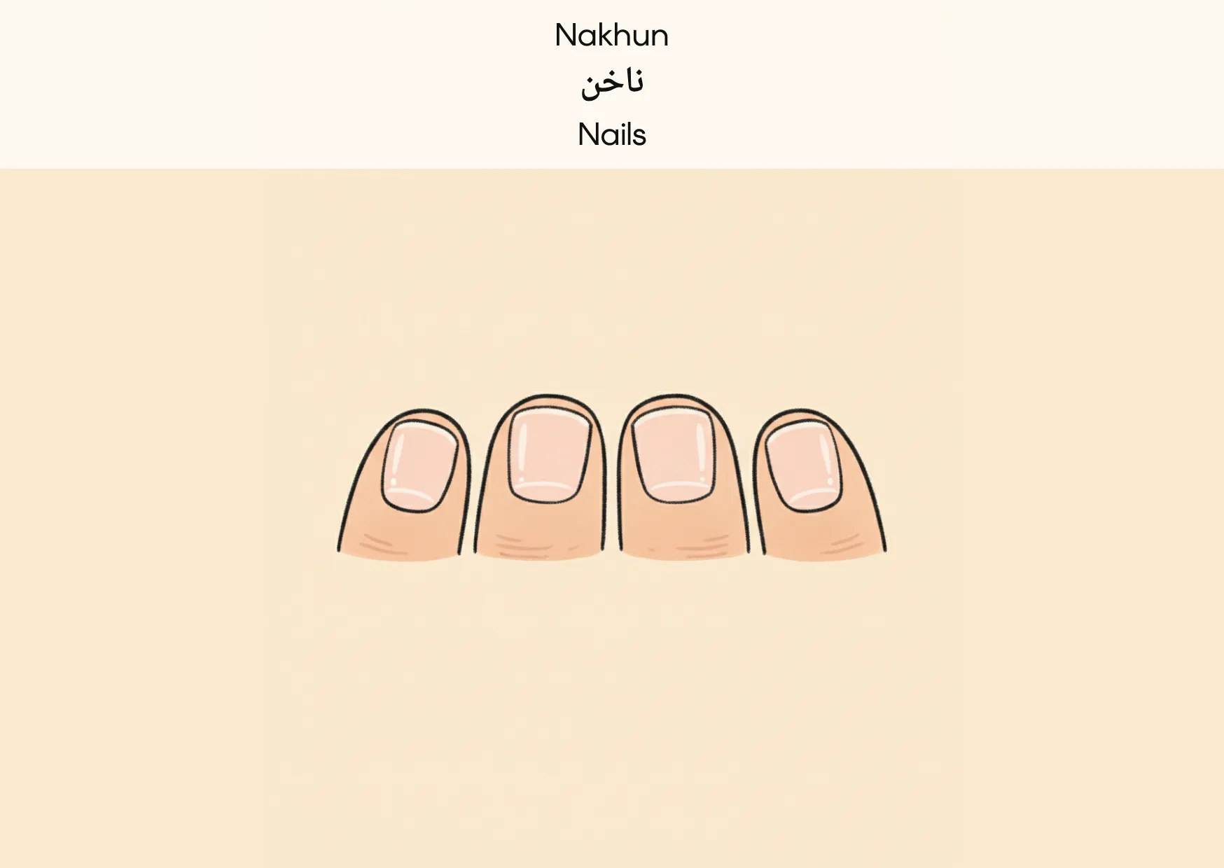 Flashcard: Nails (ناخن)